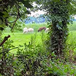Happy Little Maya Bee * Nieuwe-Niedorp