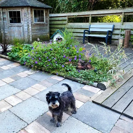 Happy Little Maya Bee * Nieuwe-Niedorp