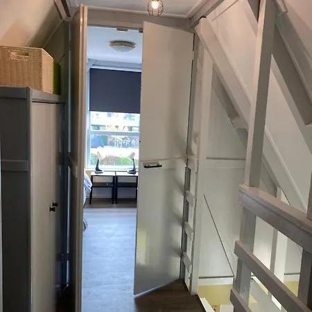 Happy Little Maya Bee * Nieuwe-Niedorp