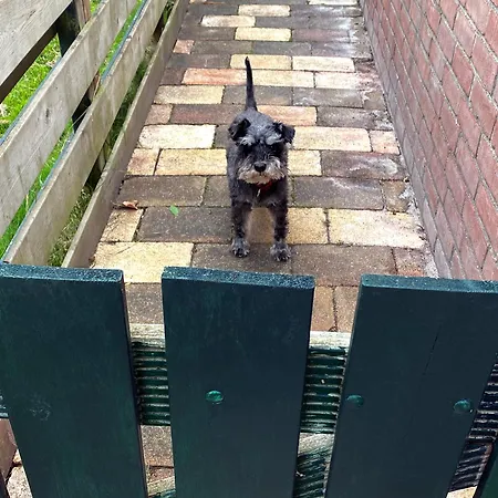 Happy Little Maya Bee Vakantiehuis