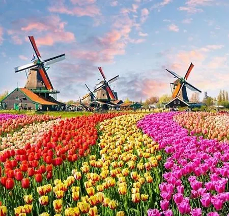 Vakantiehuis Happy Little Maya Bee